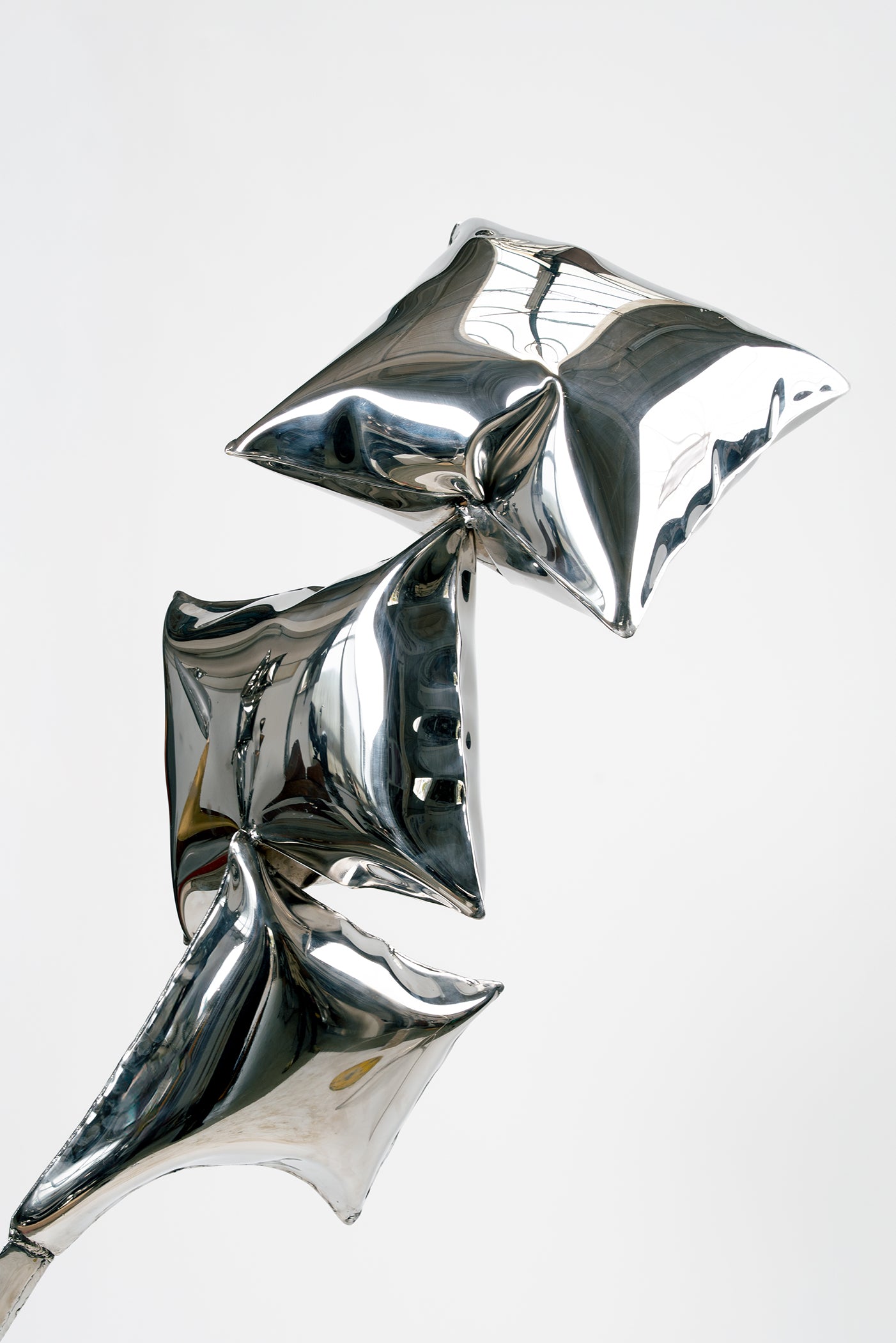The Kite